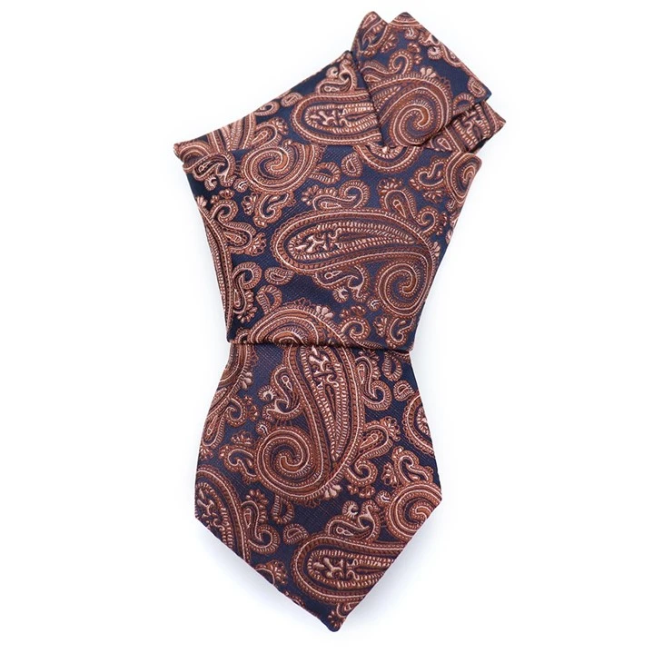 Mens Silk Paisley Ties
