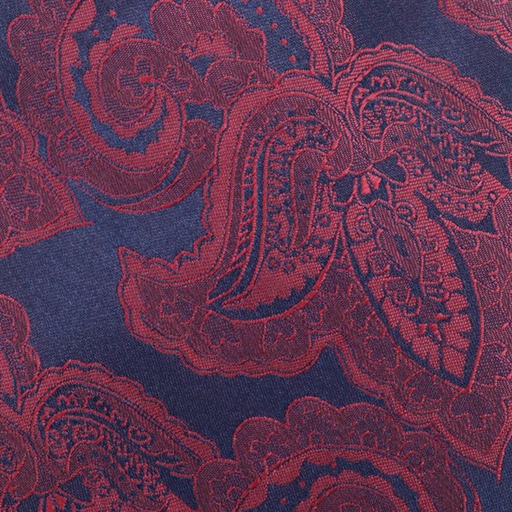 Mens Paisley Neckties