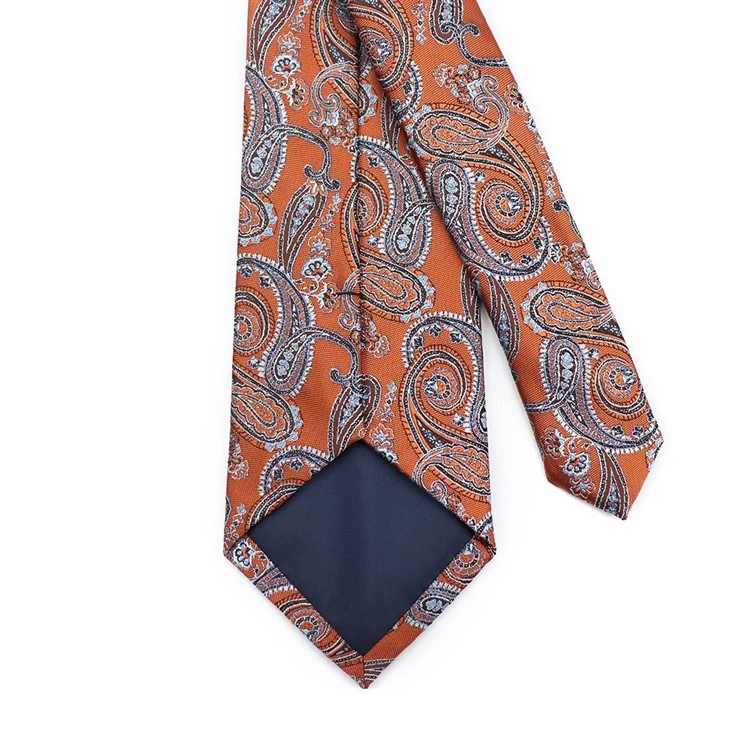 Mens Paisley Ties