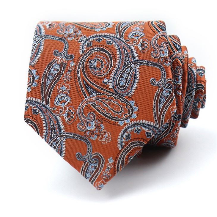 Mens Silk Paisley Ties