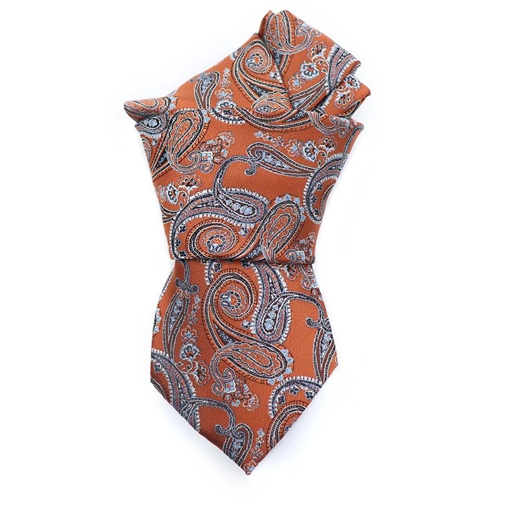 Paisley Silk Tie