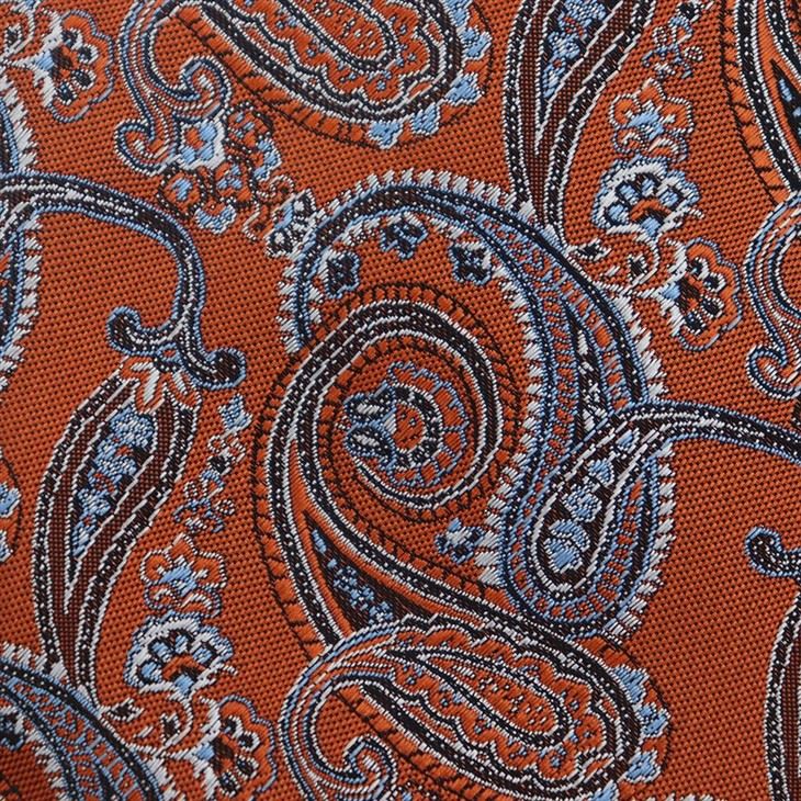 Designer Paisley Ties