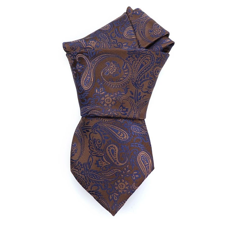 Designer Paisley Ties