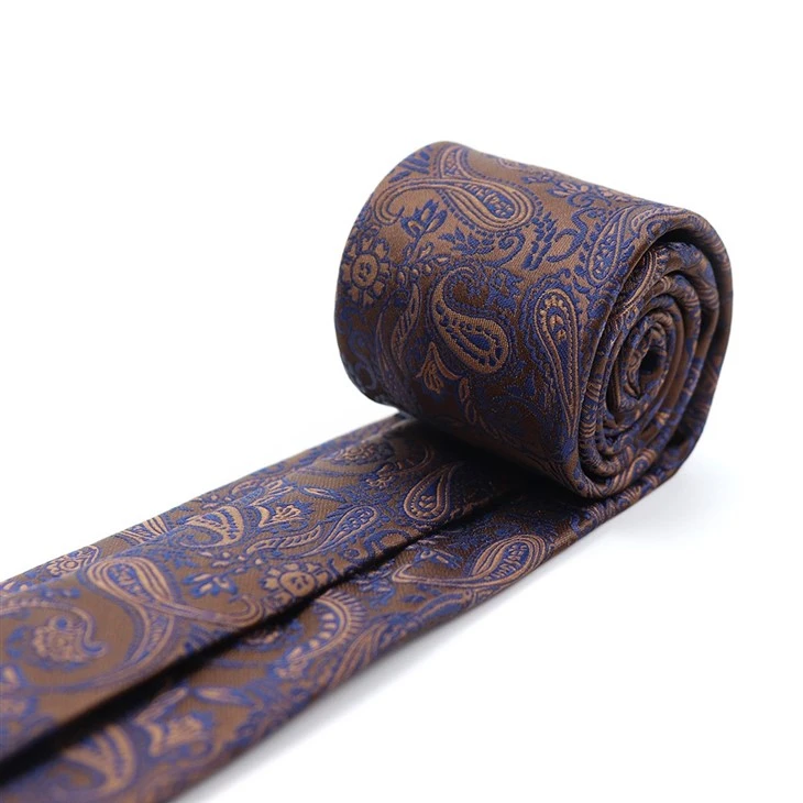 Mens Silk Paisley Ties
